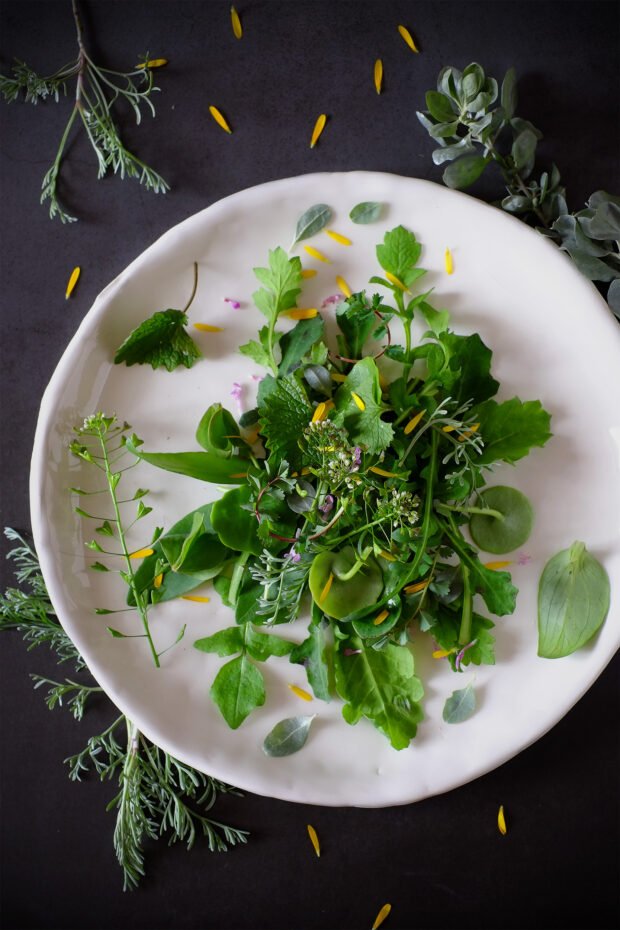 insalata_erbe_selvatiche